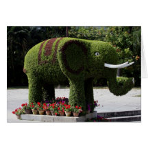 Elephant in chinese garden cards
