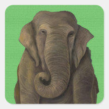 Elephant In Green Square Stickers