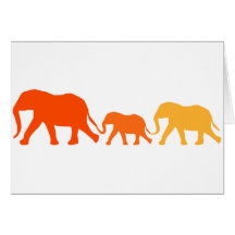 Elephant in Orange Cards