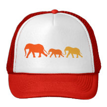 Elephant in Orange Mesh Hats