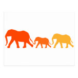 Elephant in Orange Post Cards