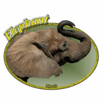 Elephant In Oval Cut Out