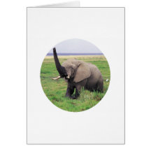 Elephant love card