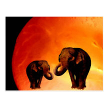 Elephant Love Postcard