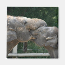 Elephant love refrigerator magnets