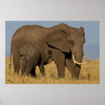 Elephant Mom and Baby Print
