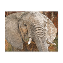 Elephant painting African art Post Card