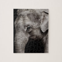 Elephant Photo Jigsaw Puzzles