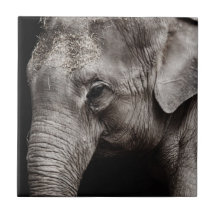 Elephant Photo Tiles
