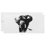 Elephant Pop Art