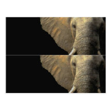 Elephant Portrait book marker Postcard