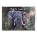 Elephant Portrait Cards