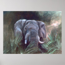 Elephant Portrait Poster
