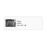 Elephant Portrait Return Address Labels