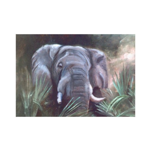 Elephant Portrait Wrapped Canvas Print