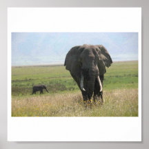 Elephant Print