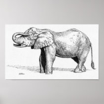 Elephant Posters