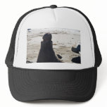 Elephant Seal Mesh Hats