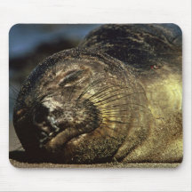 Elephant Seal Mouse Pad