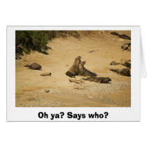 Elephant Seals Establish Who is the Alpha Male cards