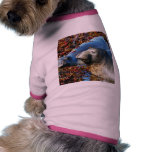 Elephant Seals Seaweed Pet Clothes