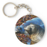 Elephant Seals Seaweed Key Chain