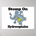Elephant Stomp On Hydrocephalus