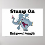 Elephant Stomp On Meningococcal Meningitis