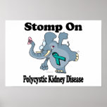 Elephant Stomp On Polycystic Kidney Disease
