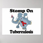 Elephant Stomp On Tuberculosis