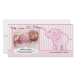 Elephant Sweet Baby Girl Birth photo cards