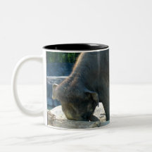 ELEPHANT TRAINING MUGS