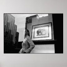 Elephant Window Posters