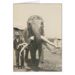 elephant with girl in mouth greeting card