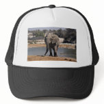 Elephant with mud socks mesh hats