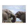 Elephants at Kruger Postcards