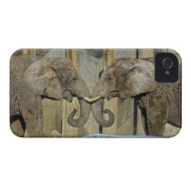 Elephants Best Friends Embrace Iphone 4 Cases