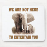 Elephants Deserve Respect Mouse Mat