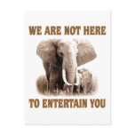 Elephants Deserve Respect Postcard