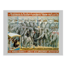 Éléphants et double affiche de cirque de ménagerie cartes postales