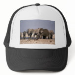 Elephant's mud bath hat