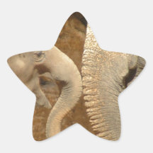 ELEPHANTS STAR STICKERS