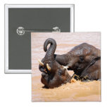 Elephants water world pinback button