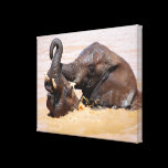 Elephants water world canvas prints