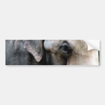 Elephants Wisdom Bumper Stickers