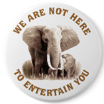 Elephats Deserve Respect buttons