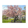 Elizabeth Park, Hartford, CT Postcard