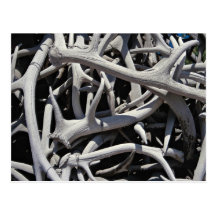 Elk antlers, Central Square, Jackson, Wyoming, U.S Post Card