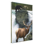 Elk & Black Bears Wildlife Art Wall Print