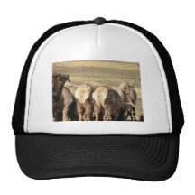 Elk Booty Trucker Hat